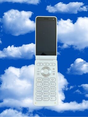 Samsung Galaxy Folder 2 SM-G160N Unlocked 4G WIFI Original Flip Phone WHITE